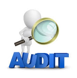 Environmental Audit